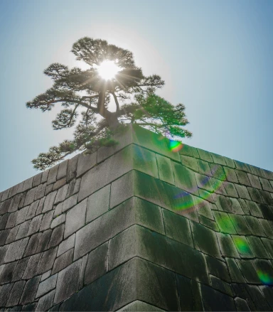 Estruturação de projetos investíveis